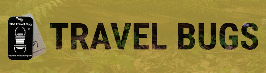 Banner Travel Bugs