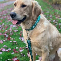 Trela Geocaching - Cycle Dog® - Image 2